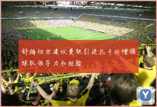 舒梅切尔建议曼联引进扎卡以增强球队领导力和经验