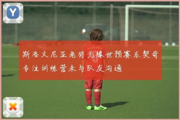 斯洛文尼亚老将无缘世预赛东契奇专注训练营未与队友沟通