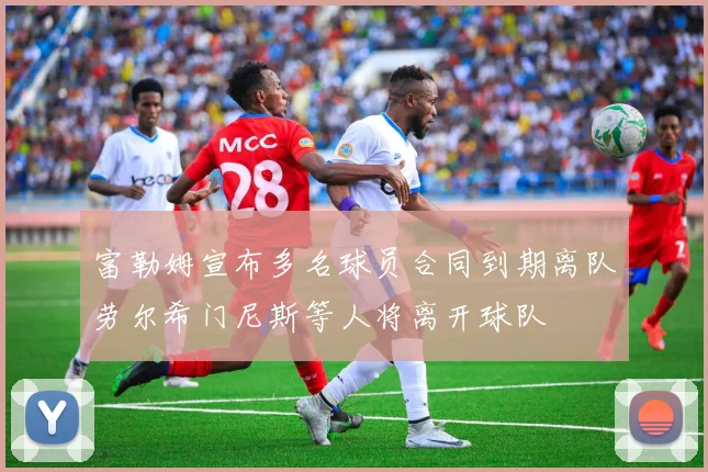 富勒姆宣布多名球员合同到期离队劳尔希门尼斯等人将离开球队
